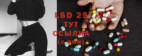 PSILOCYBIN Нефтегорск
