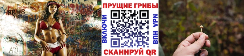 Галлюциногенные грибы Cubensis  Нурлат 