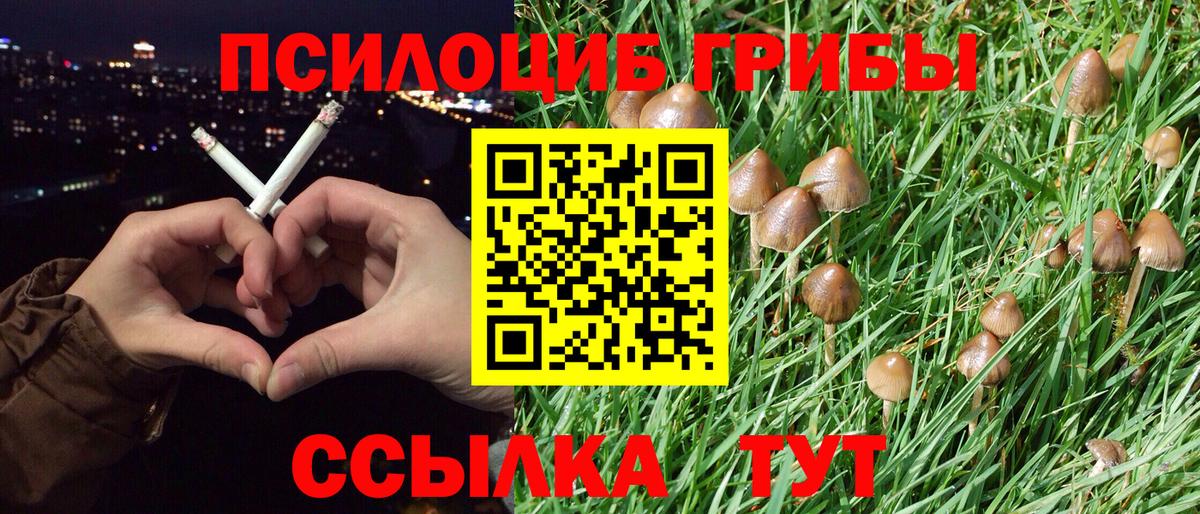 Галлюциногенные грибы мухоморы  Галлюциногенные грибы мицелий  Нурлат  Вход с VPN 